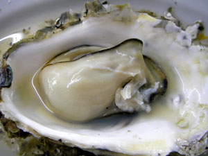 IMGP2956.jpg