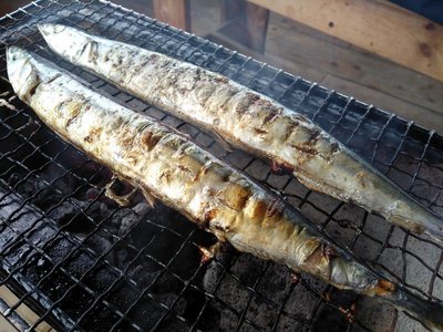IMG_20181017_155335.jpg