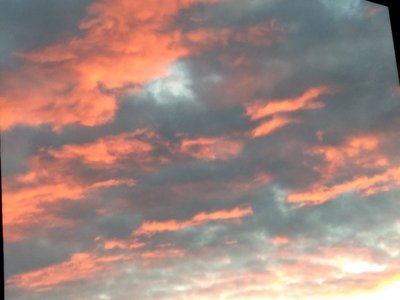 IMG_20181106_165045.jpg