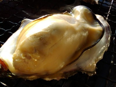 KIMG0704.JPG