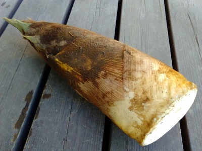 KIMG0900.JPG