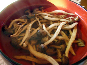P9280006.jpg