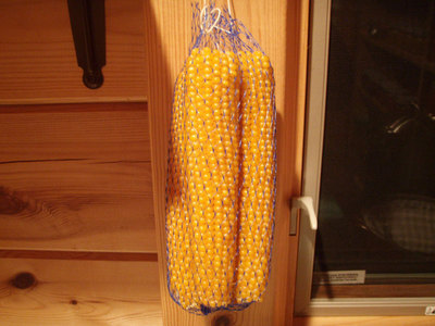 PC100122.jpg