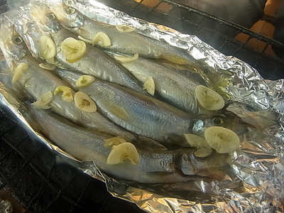 R0014161.JPG