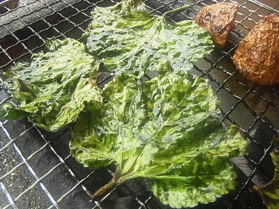 R0014772.JPG