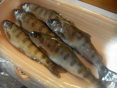 R0014919.JPG