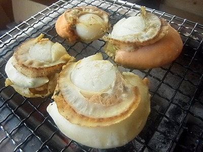 R0015086.JPG