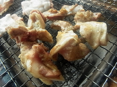 R0015100.JPG