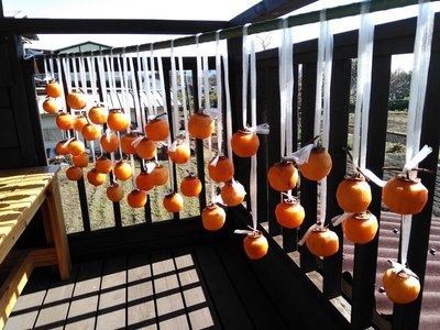 IMG_20181111_114547.jpg