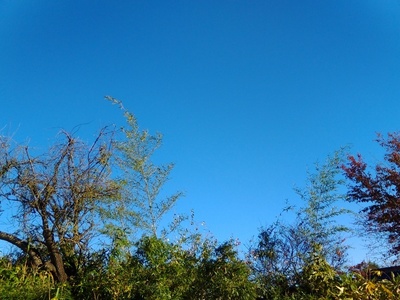 KIMG0295.JPG