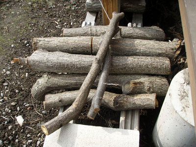 P3230008.jpg