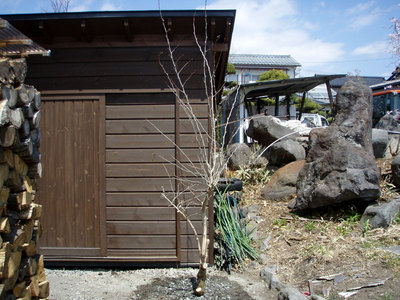 P4210197.jpg