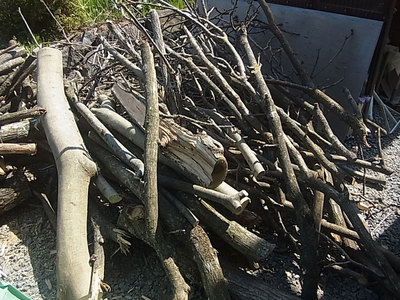 R0011371.jpg