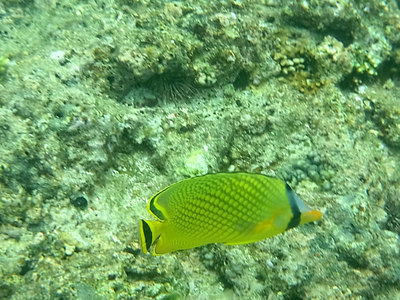 R0011538.jpg