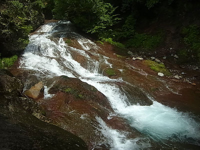 R0011791.jpg