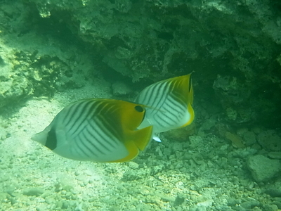 R0013823.JPG