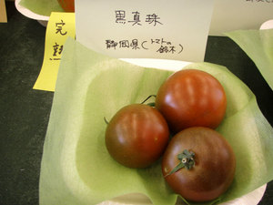 tomato6.jpg