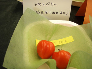 tomato8.jpg