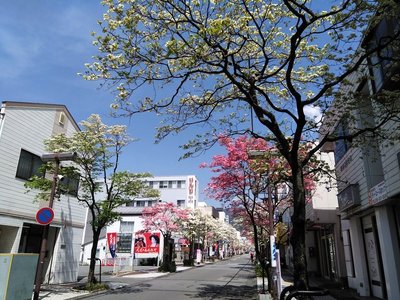 IMG_20180412_114116-001.jpg