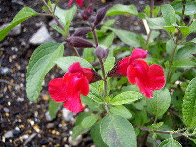 10P6010001.jpg