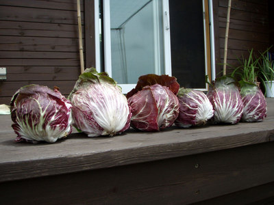10P7070007.jpg