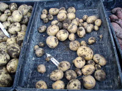 10P7200004.jpg