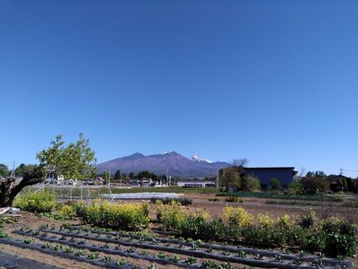 IMG_20190508_081941-001.jpg