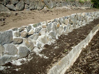 P4240002.jpg