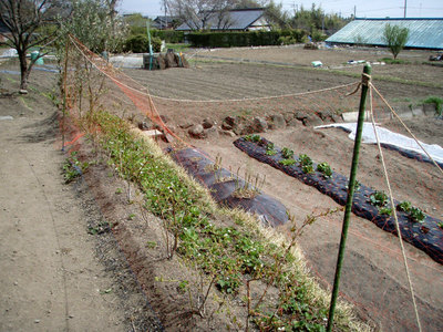 P5020197.jpg