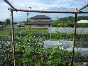 P7200003.jpg