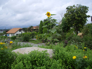 P8090056.jpg