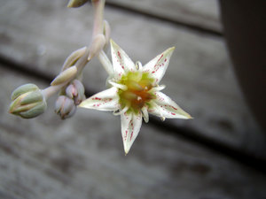 P92800061.jpg