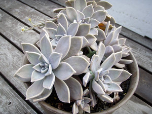 P9280010.jpg