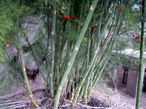 P9280013.jpg