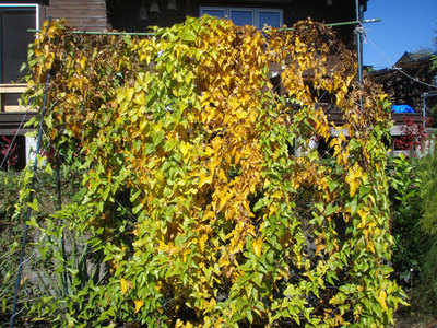 PA160016.jpg