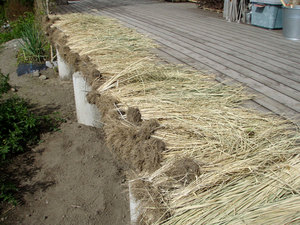 PA200002.jpg