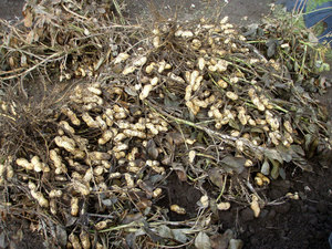 PB120013.jpg