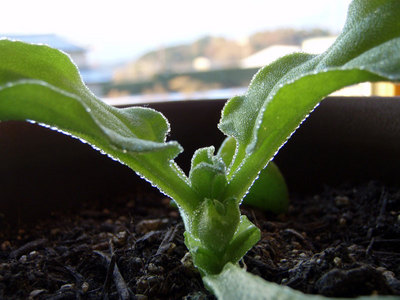 PC090097.jpg