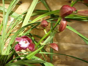 PC150006.jpg