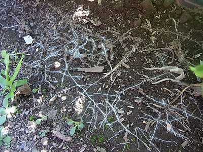 R0010477.jpg