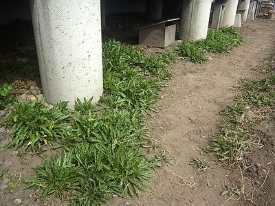 R0011161.jpg