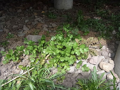 R0011162.jpg