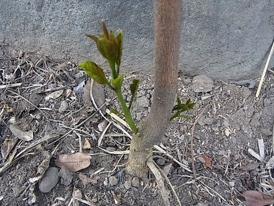 R0011454.jpg