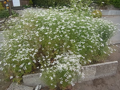R0011567.jpg