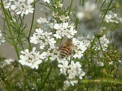 R0011580.jpg