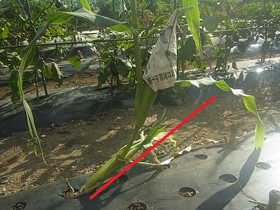 R0013544.JPG