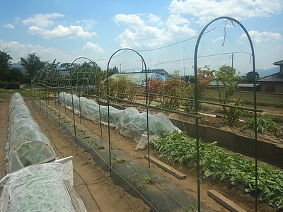 R0014710.JPG